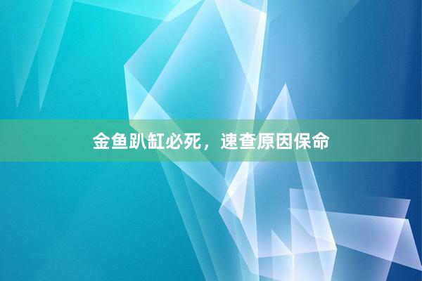 金鱼趴缸必死，速查原因保命